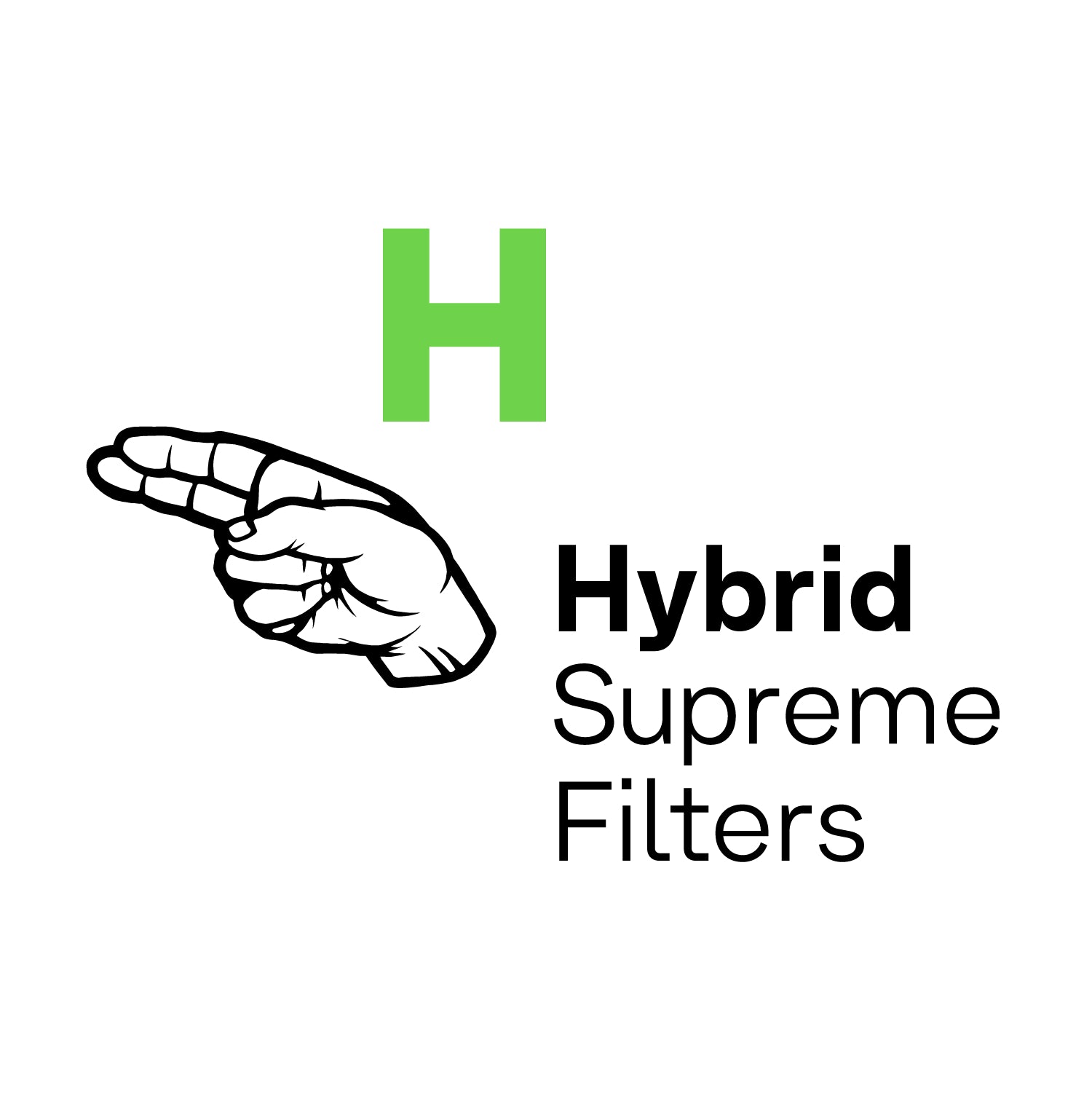 Hybrid Filters Logo mit grüner Farbe